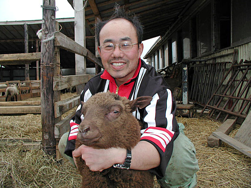武藤さんと羊の写真