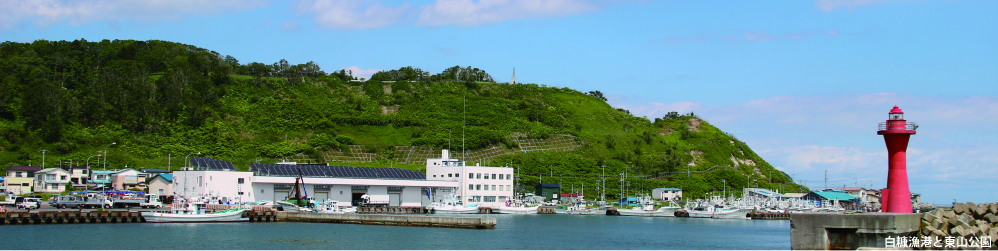 白糠漁港と東山公園の写真