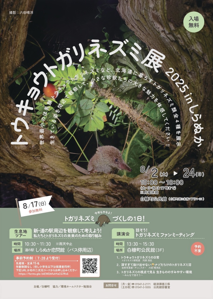 トガリネズミポスター