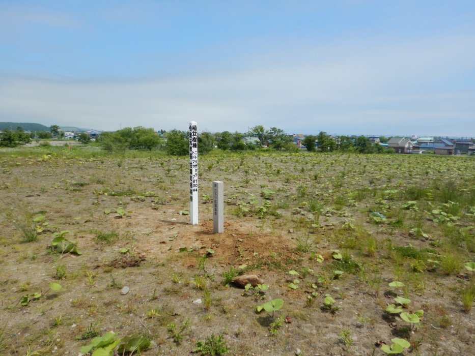 第14回ニトリ北海道応援基金の助成を受け実施した白糠町植樹祭植栽地の風景