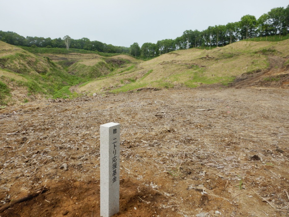 第14回ニトリ北海道応援基金の助成を受け実施した八百町町有林内植栽地の風景