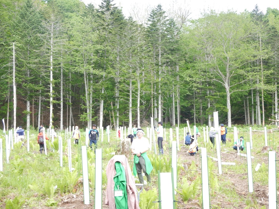 「コープ未来(あした)の森」植樹祭の様子