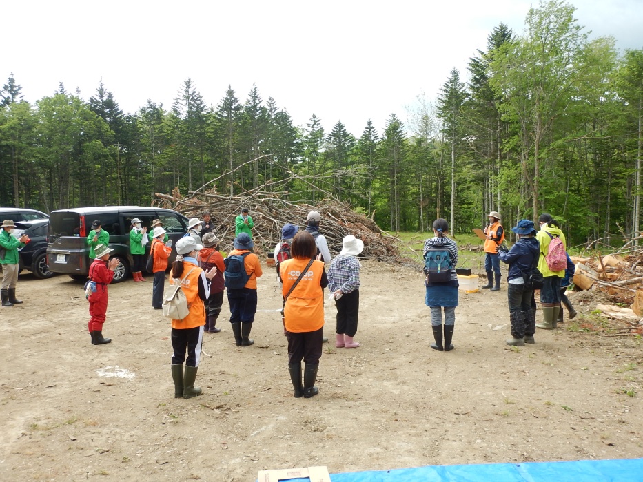 「コープ未来(あした)の森」植樹祭の様子