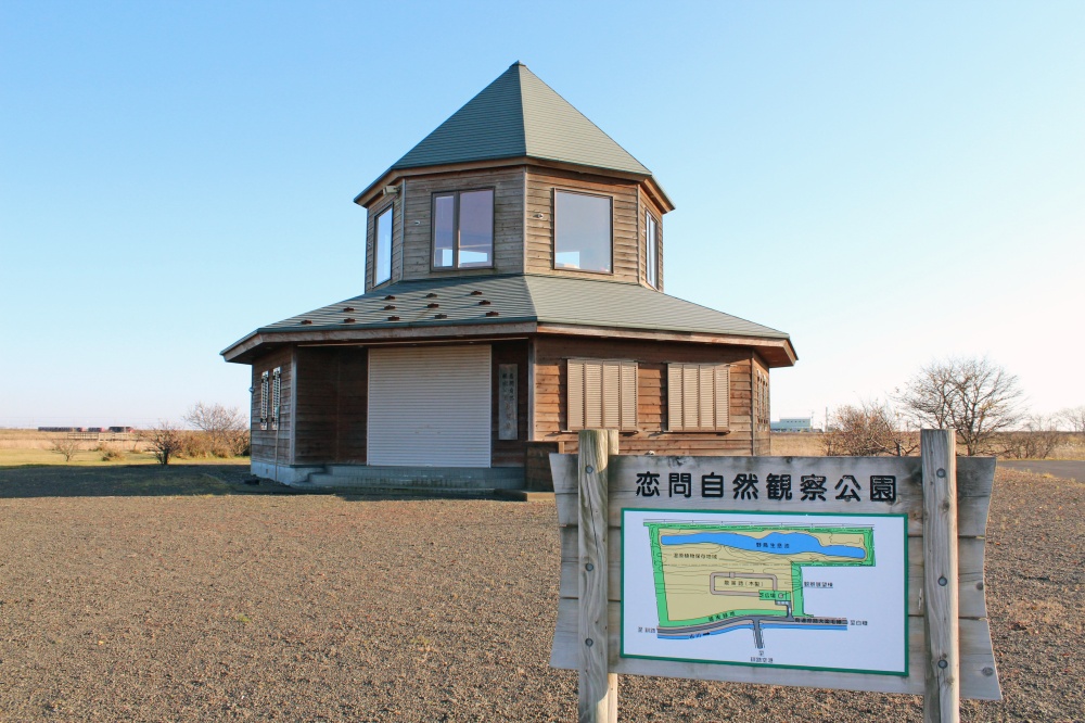 恋問自然観察公園の写真