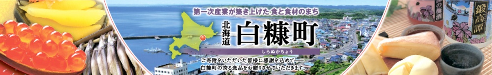 東山公園からの白糠市街地