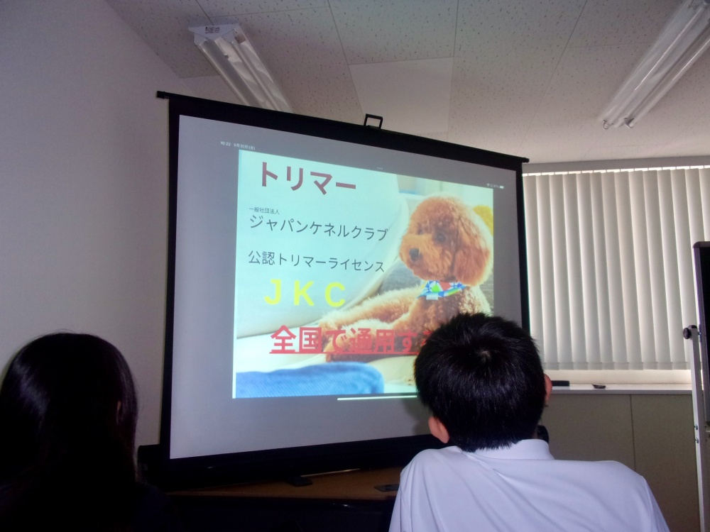 上級学校