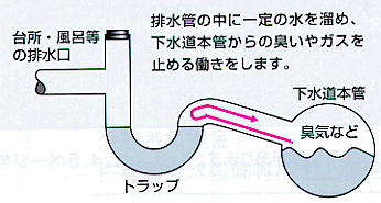 トラップの説明イラスト画像